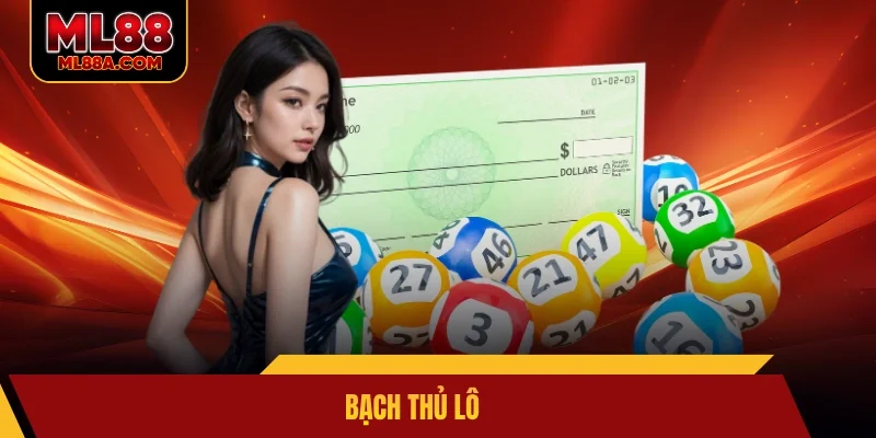 bạch thủ lô