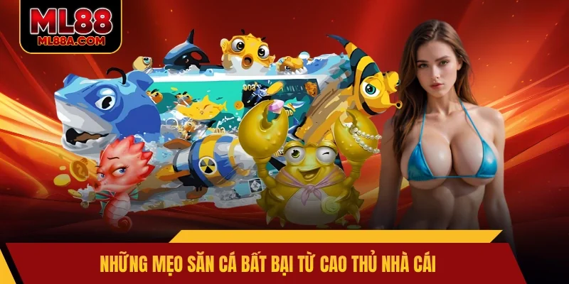 Những mẹo săn cá bất bại từ cao thủ nhà cái