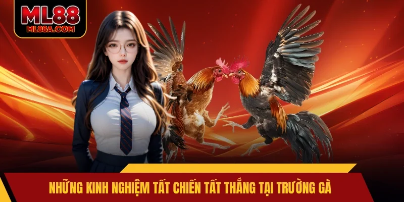 Những kinh nghiệm tất chiến tất thắng tại trường gà