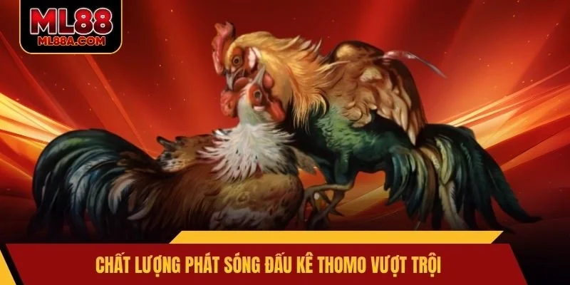 Chất lượng phát sóng đấu kê Thomo vượt trội