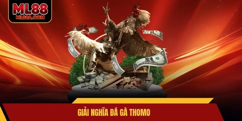 Giải nghĩa đá gà Thomo