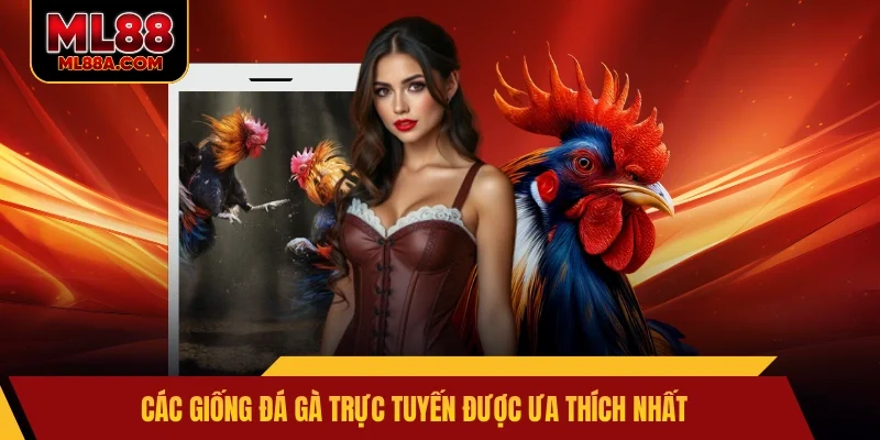 Các giống đá gà trực tuyến được ưa thích nhất
