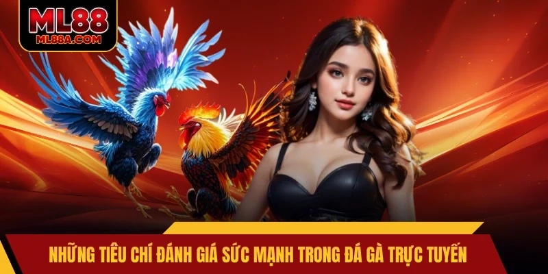 Những tiêu chí đánh giá sức mạnh trong đá gà trực tuyến