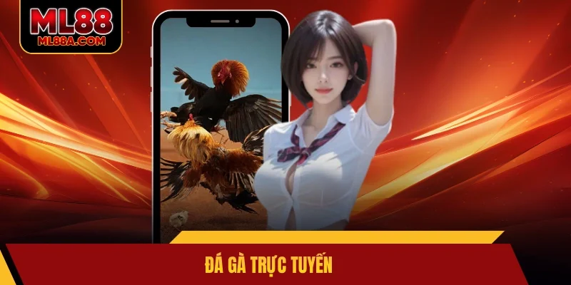 Đá gà trực tuyến