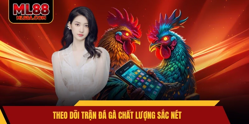 Theo dõi trận đá gà chất lượng sắc nét
