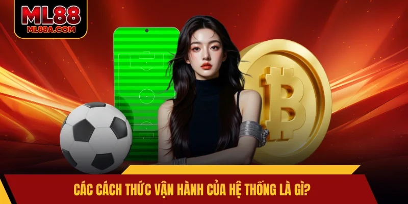 Các cách thức vận hành của hệ thống là gì