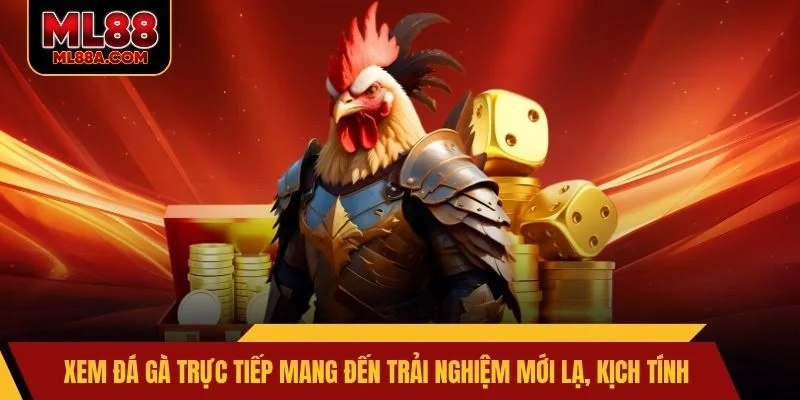 Xem đá gà trực tiếp mang đến trải nghiệm mới lạ, kịch tính