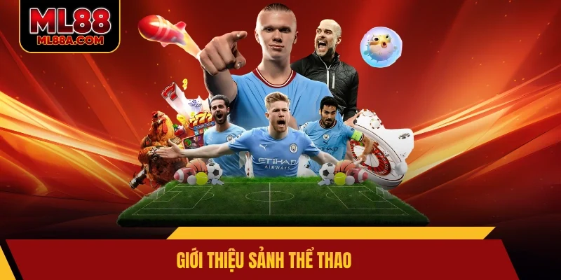 Giới thiệu sảnh thể thao